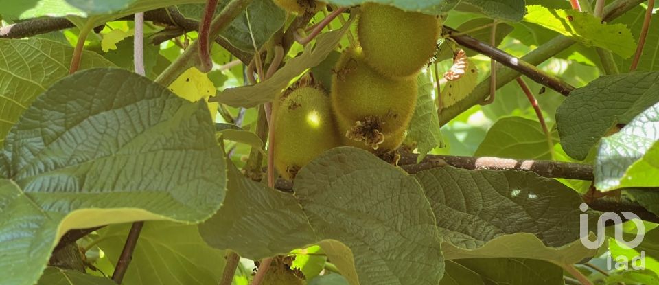 Maison T2 à Valadares de 75 m²