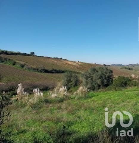 Land in Turcifal of 100,000 m²