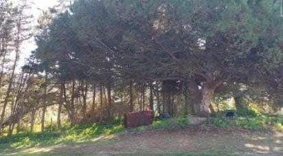 Land in Turcifal of 100,000 m²