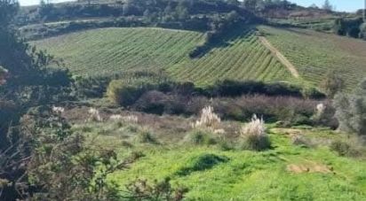 Land in Turcifal of 100,000 m²