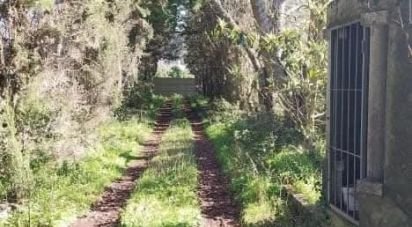 Land in Turcifal of 100,000 m²