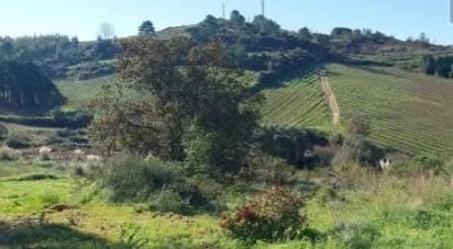 Land in Turcifal of 100,000 m²