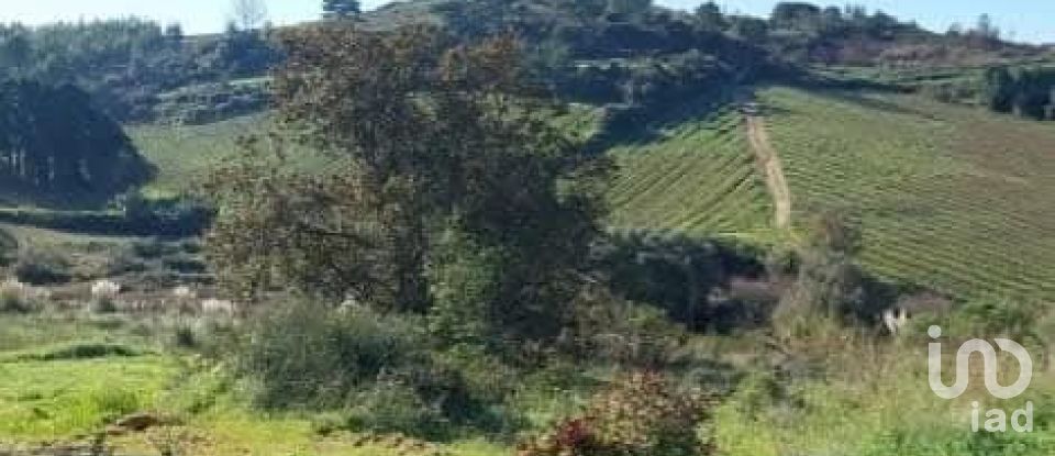 Land in Turcifal of 100,000 m²