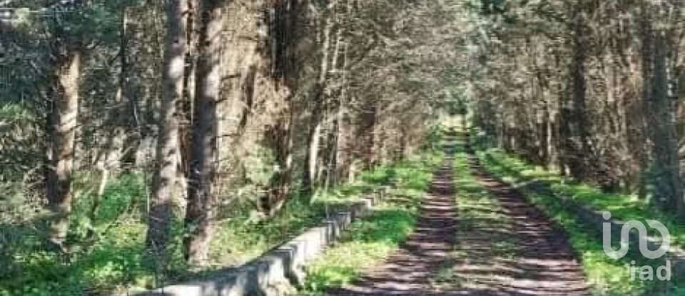 Land in Turcifal of 100,000 m²