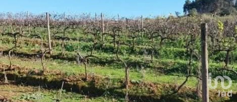 Land in Turcifal of 100,000 m²