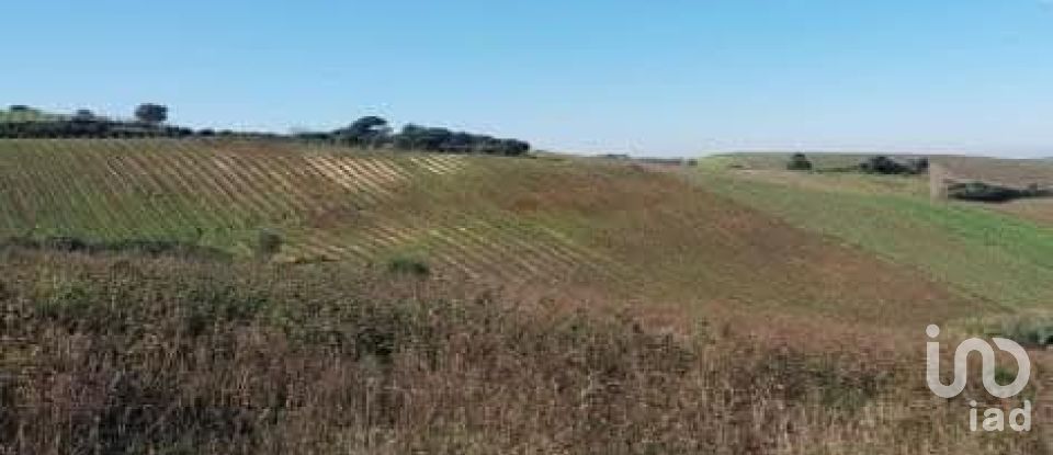 Land in Turcifal of 100,000 m²