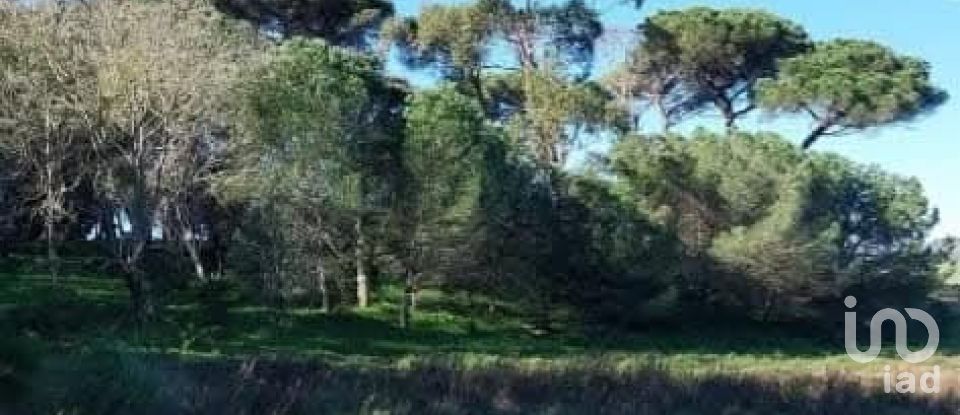 Land in Turcifal of 100,000 m²