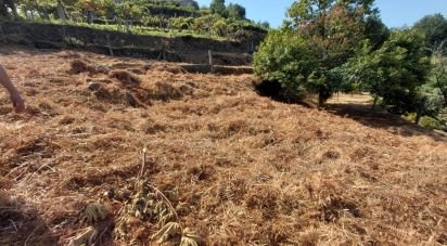 Land in Vila e Roussas of 1,100 m²