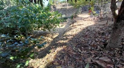 Land in Vila e Roussas of 1,100 m²
