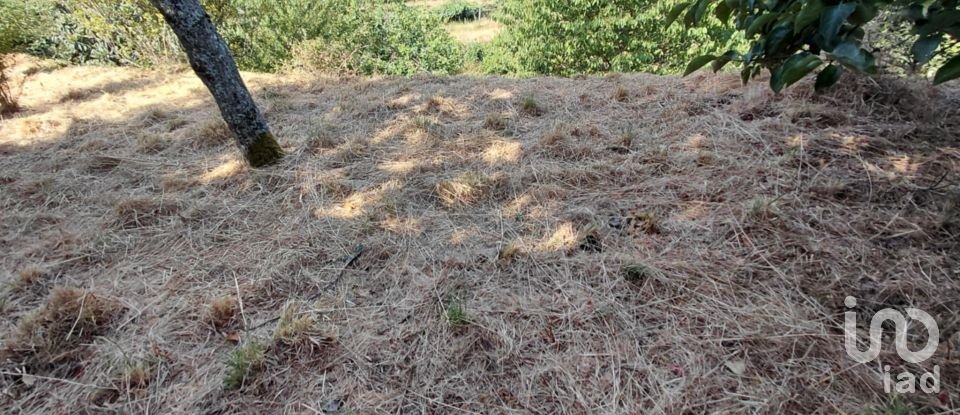 Terreno em Vila e Roussas de 1 100 m²