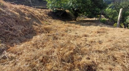 Land in Vila e Roussas of 1,100 m²