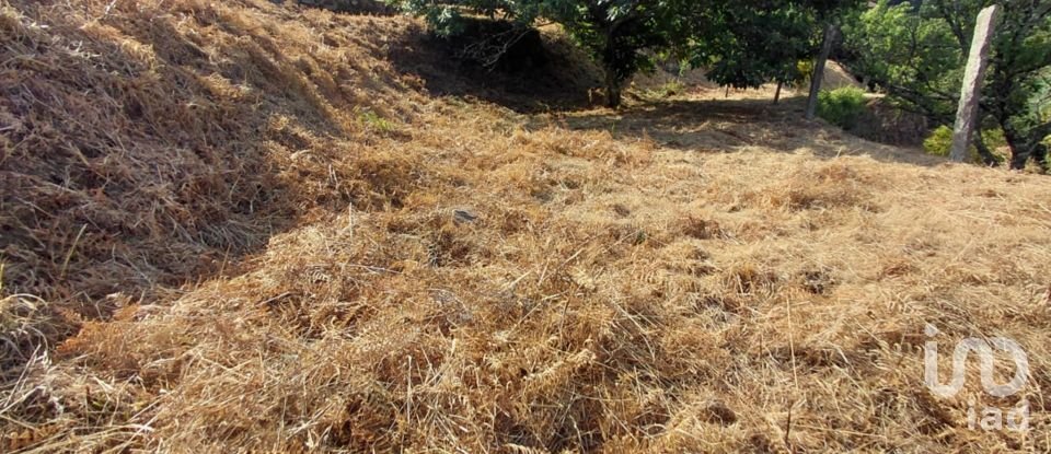 Terreno em Vila e Roussas de 1 100 m²