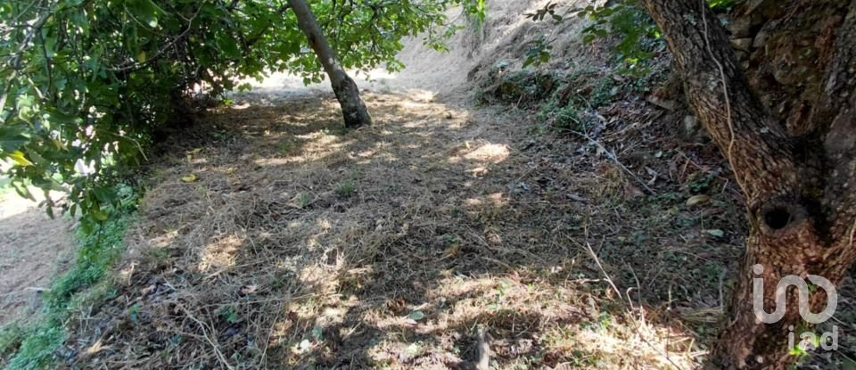 Terreno em Vila e Roussas de 1 100 m²