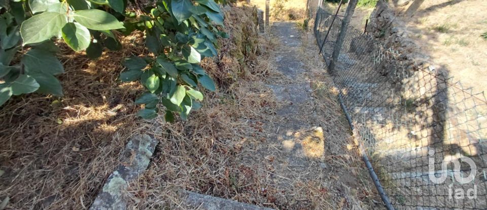 Terreno em Vila e Roussas de 1 100 m²