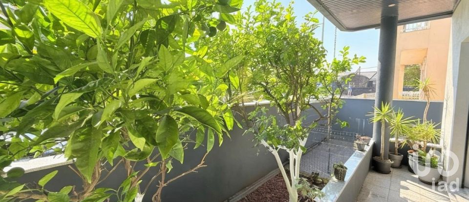 House T3 in Campo e Sobrado of 240 m²