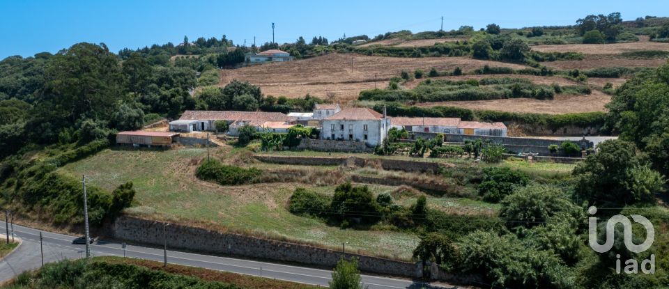 Quinta T7 em Santo Quintino de 825 m²