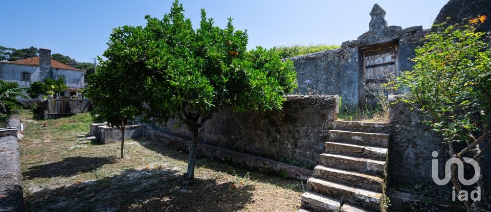 Quinta T7 em Santo Quintino de 825 m²