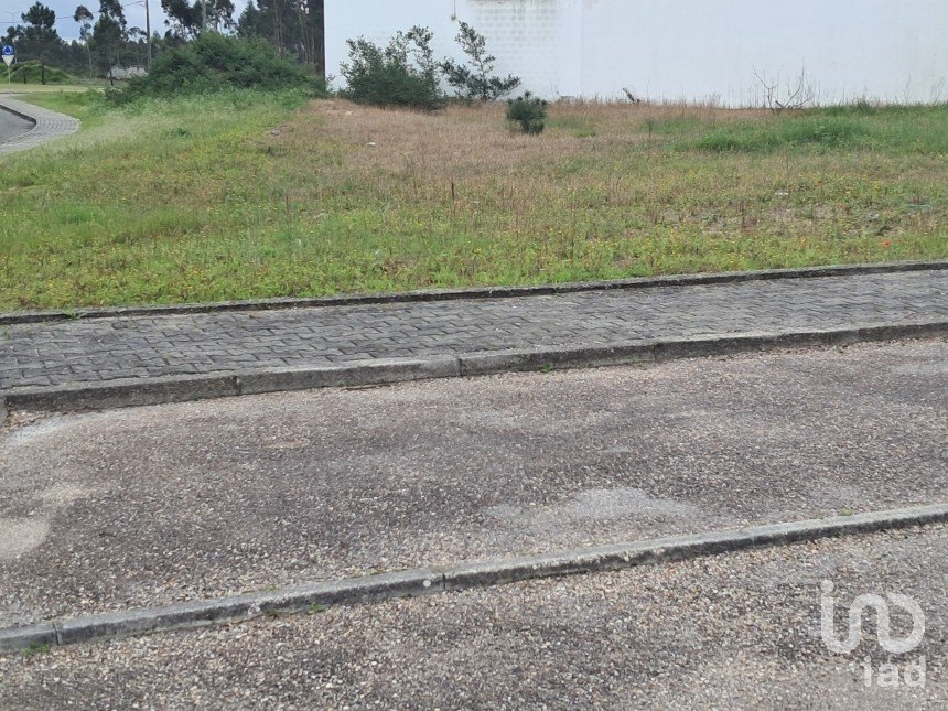 Terrain à bâtir à Vieira de Leiria de 193 m²