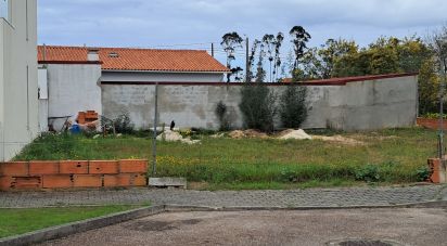 Terrain à bâtir à Vieira de Leiria de 354 m²