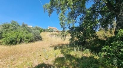 Terrain à Quarteira de 2 420 m²