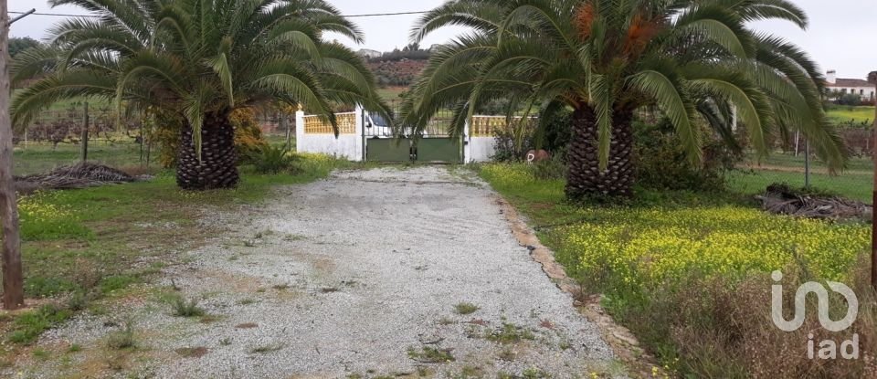 Farm T3 in Esperança of 149 m²