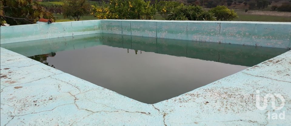 Farm T3 in Esperança of 149 m²