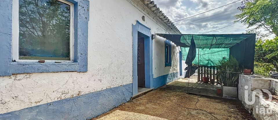 Quinta T3 em Moncarapacho e Fuseta de 140 m²