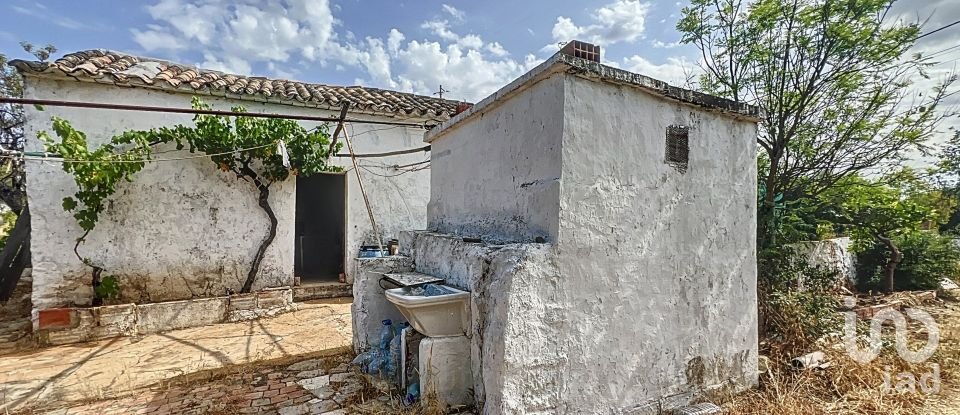 Quinta T3 em Moncarapacho e Fuseta de 140 m²