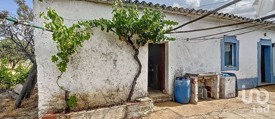 Quinta T3 em Moncarapacho e Fuseta de 140 m²