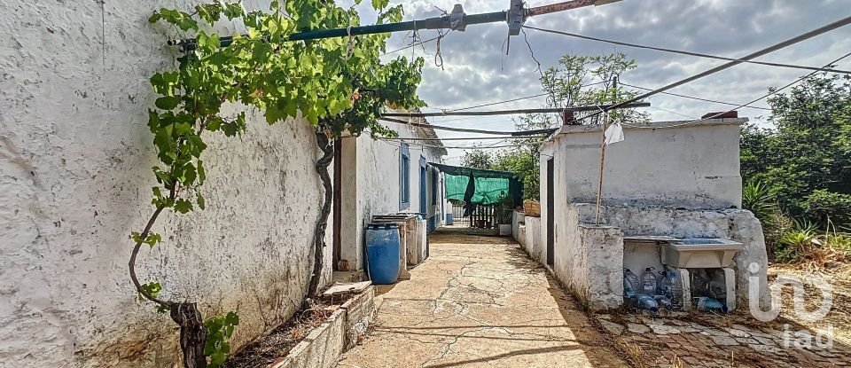 Quinta T3 em Moncarapacho e Fuseta de 140 m²