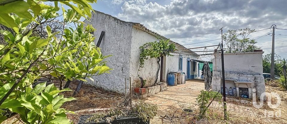 Quinta T3 em Moncarapacho e Fuseta de 140 m²