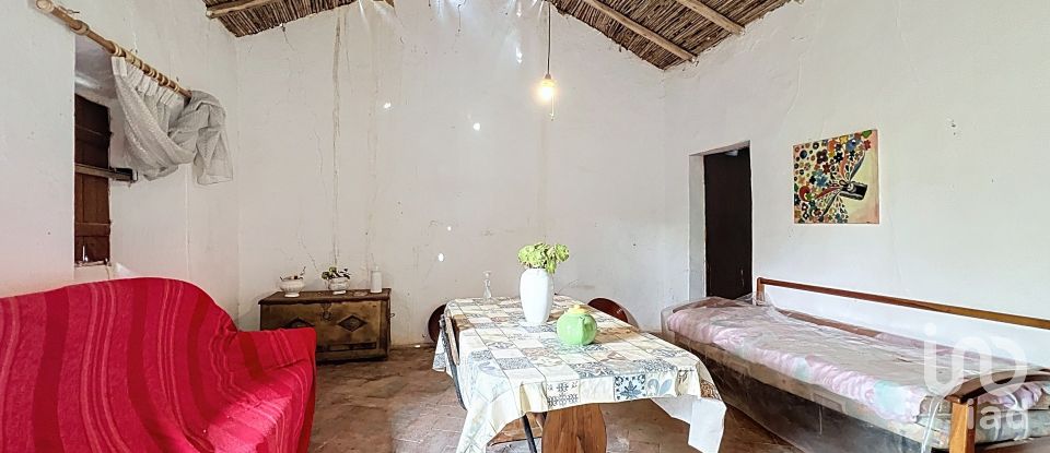 Quinta T3 em Moncarapacho e Fuseta de 140 m²