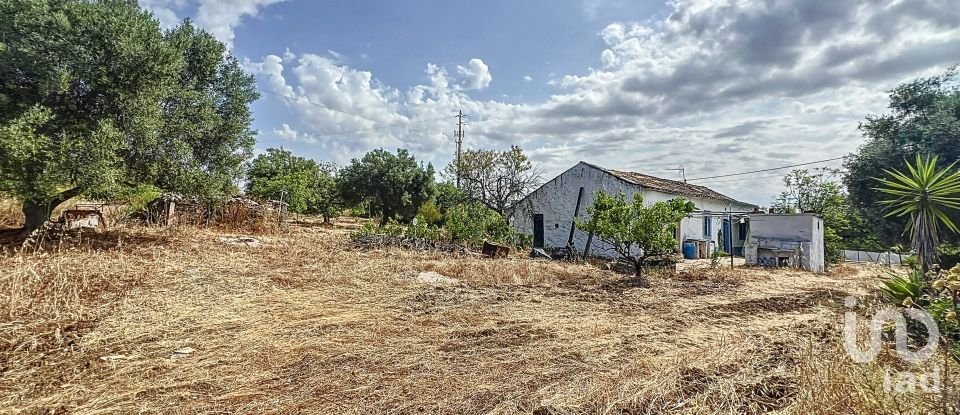 Quinta T3 em Moncarapacho e Fuseta de 140 m²