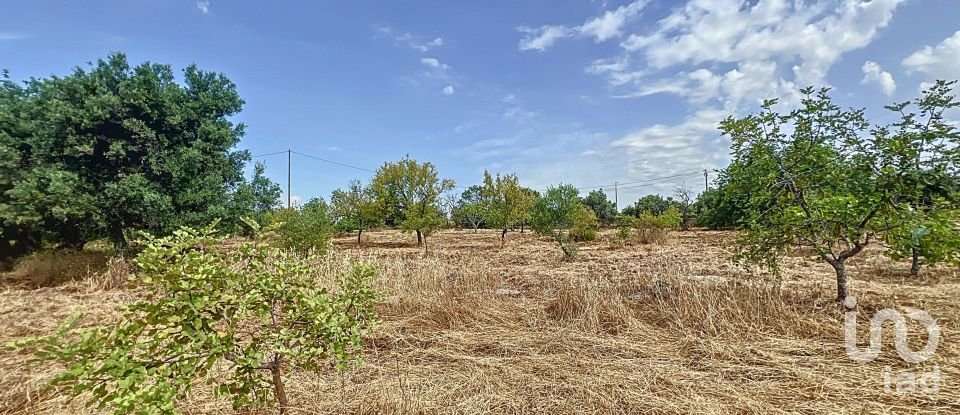 Quinta T3 em Moncarapacho e Fuseta de 140 m²