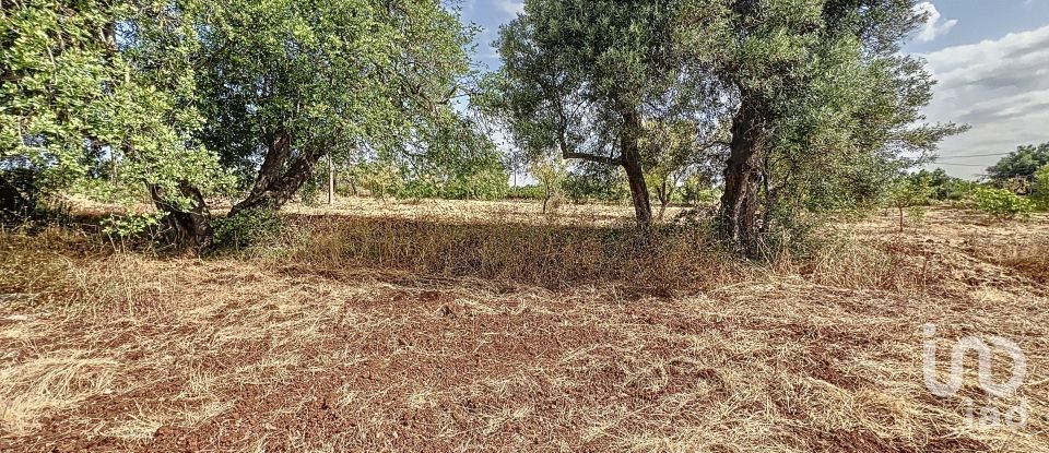 Quinta T3 em Moncarapacho e Fuseta de 140 m²