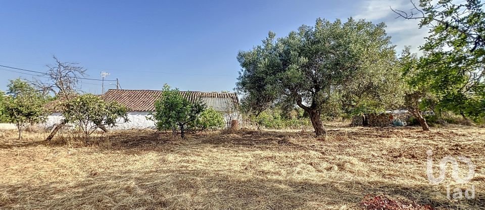 Quinta T3 em Moncarapacho e Fuseta de 140 m²