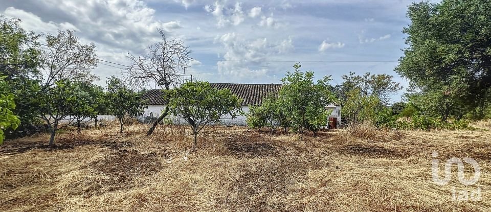 Quinta T3 em Moncarapacho e Fuseta de 140 m²