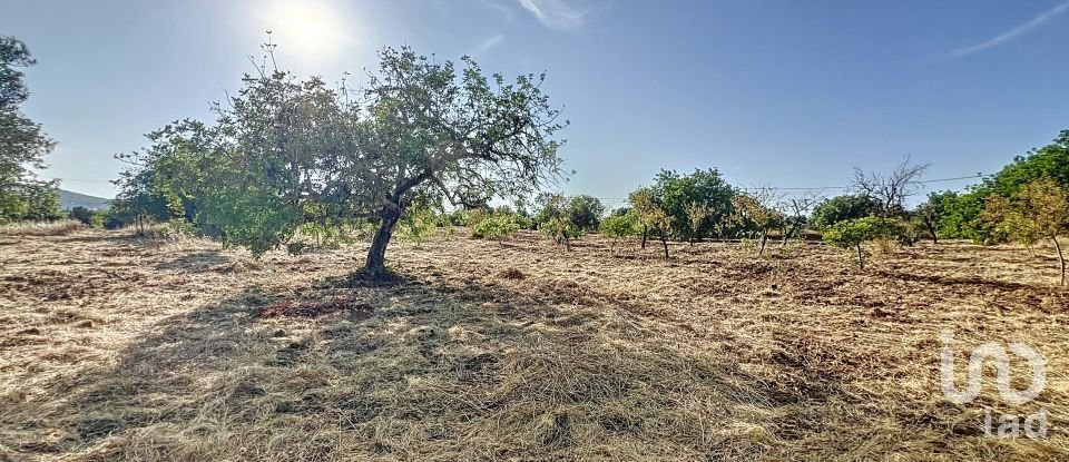 Quinta T3 em Moncarapacho e Fuseta de 140 m²