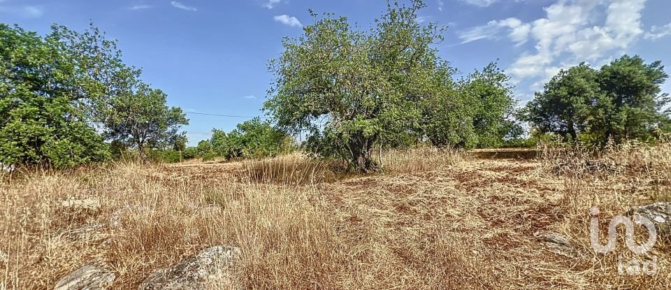 Quinta T3 em Moncarapacho e Fuseta de 140 m²