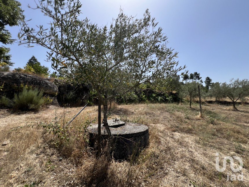 Terrain à Sernancelhe e Sarzeda de 44 527 m²