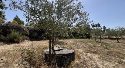 Terrain à Sernancelhe e Sarzeda de 44 527 m²