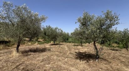 Terrain à Sernancelhe e Sarzeda de 44 527 m²