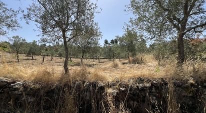 Terrain à Sernancelhe e Sarzeda de 44 527 m²