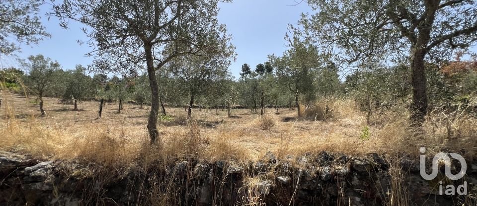 Terrain à Sernancelhe e Sarzeda de 44 527 m²