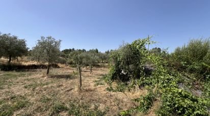 Terrain à Sernancelhe e Sarzeda de 44 527 m²