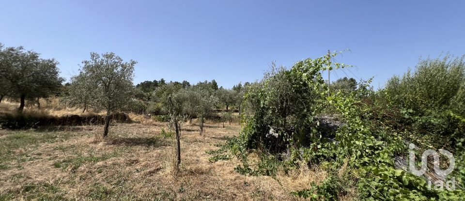 Terrain à Sernancelhe e Sarzeda de 44 527 m²