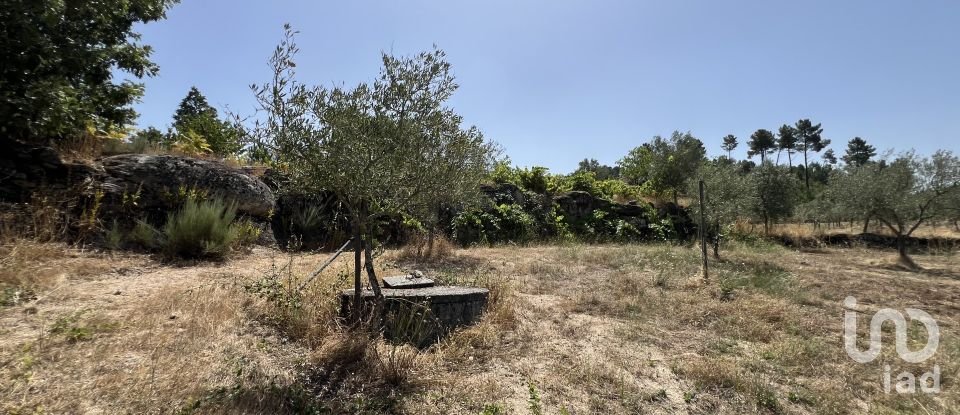 Terrain à Sernancelhe e Sarzeda de 44 527 m²