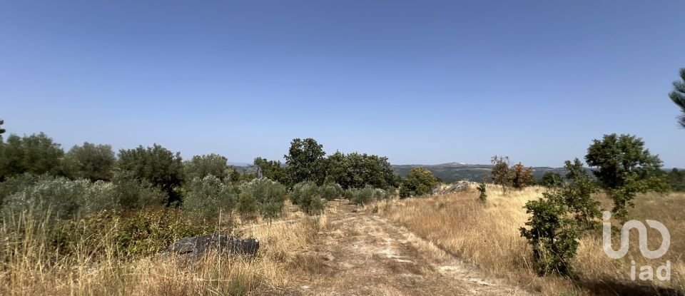 Terrain à Sernancelhe e Sarzeda de 44 527 m²