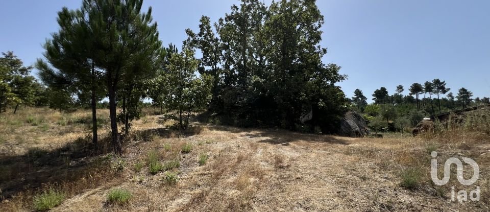 Terrain à Sernancelhe e Sarzeda de 44 527 m²