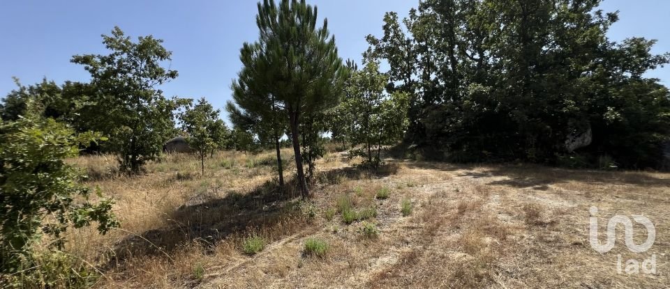 Terrain à Sernancelhe e Sarzeda de 44 527 m²